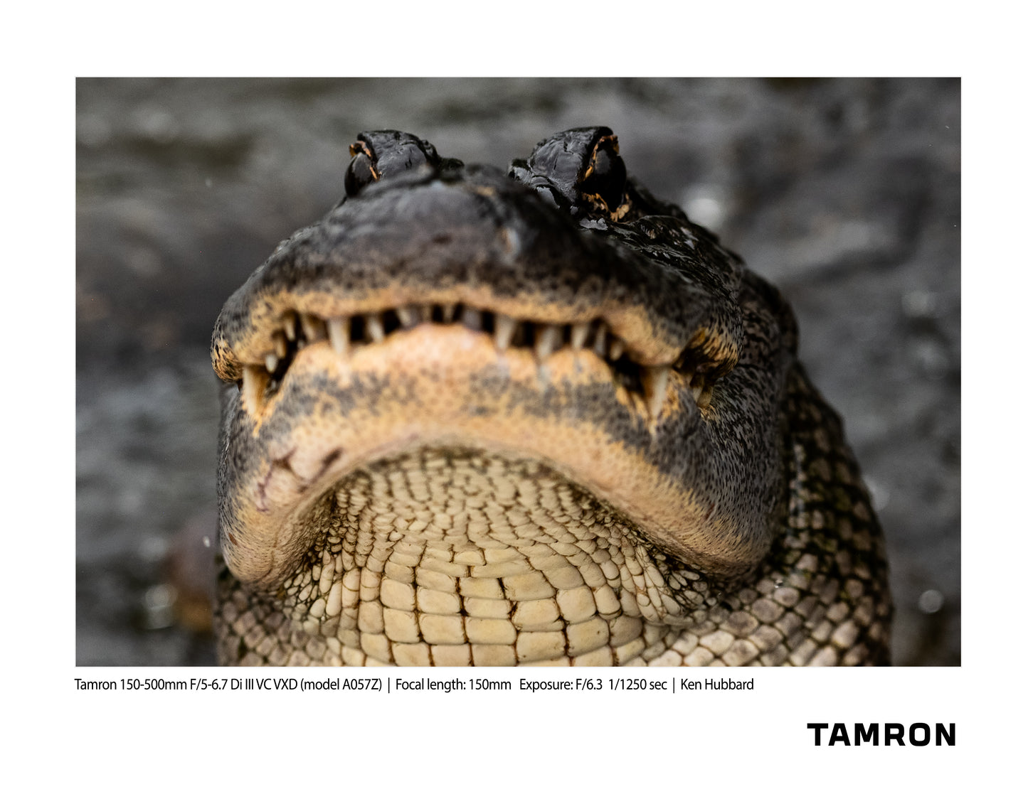 Tamron 150-500mm F/5-6.7 Di III VC VXD for Nikon Z Full-frame Mirrorless (model A057Z)