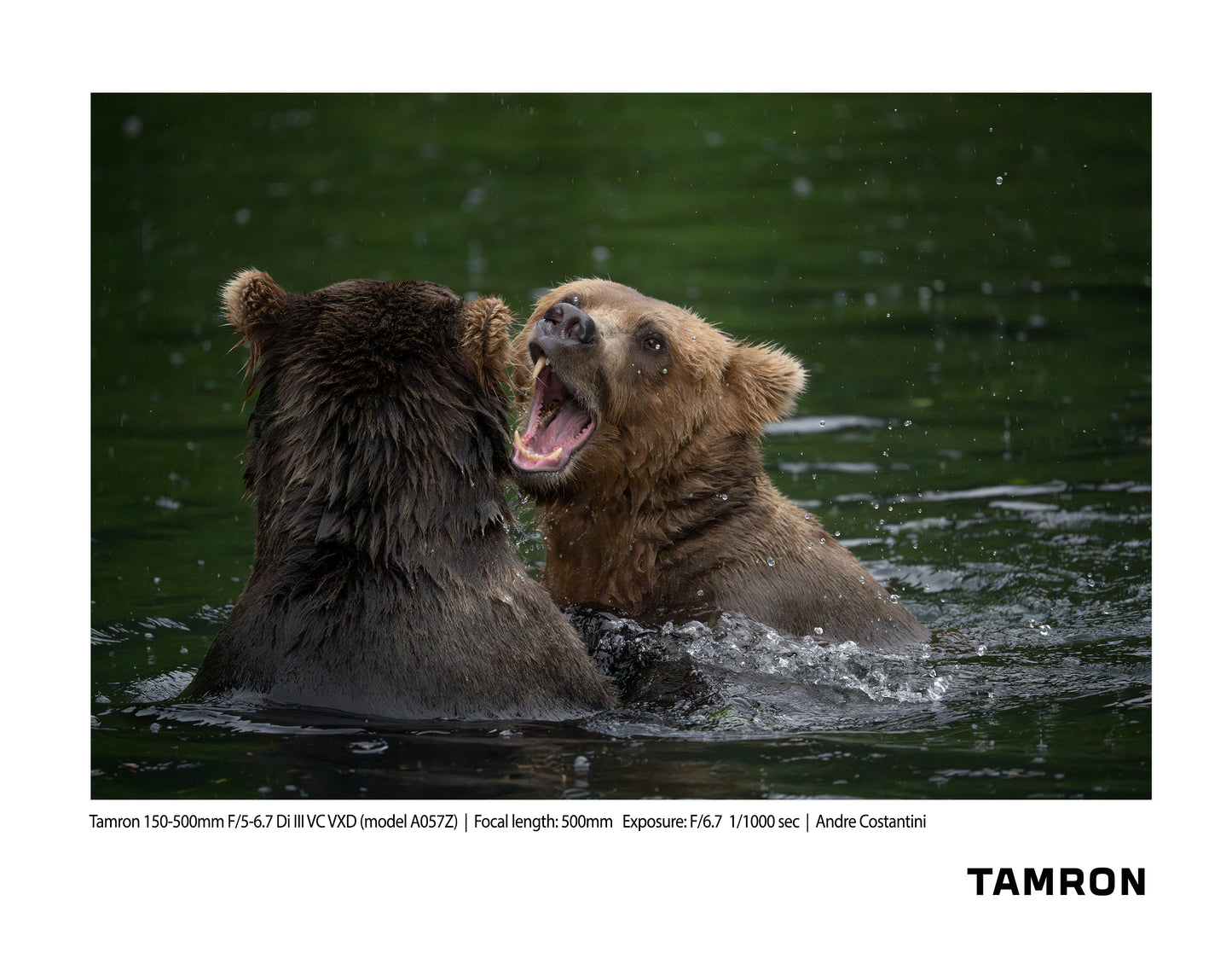 Tamron 150-500mm F/5-6.7 Di III VC VXD for Nikon Z Full-frame Mirrorless (model A057Z)