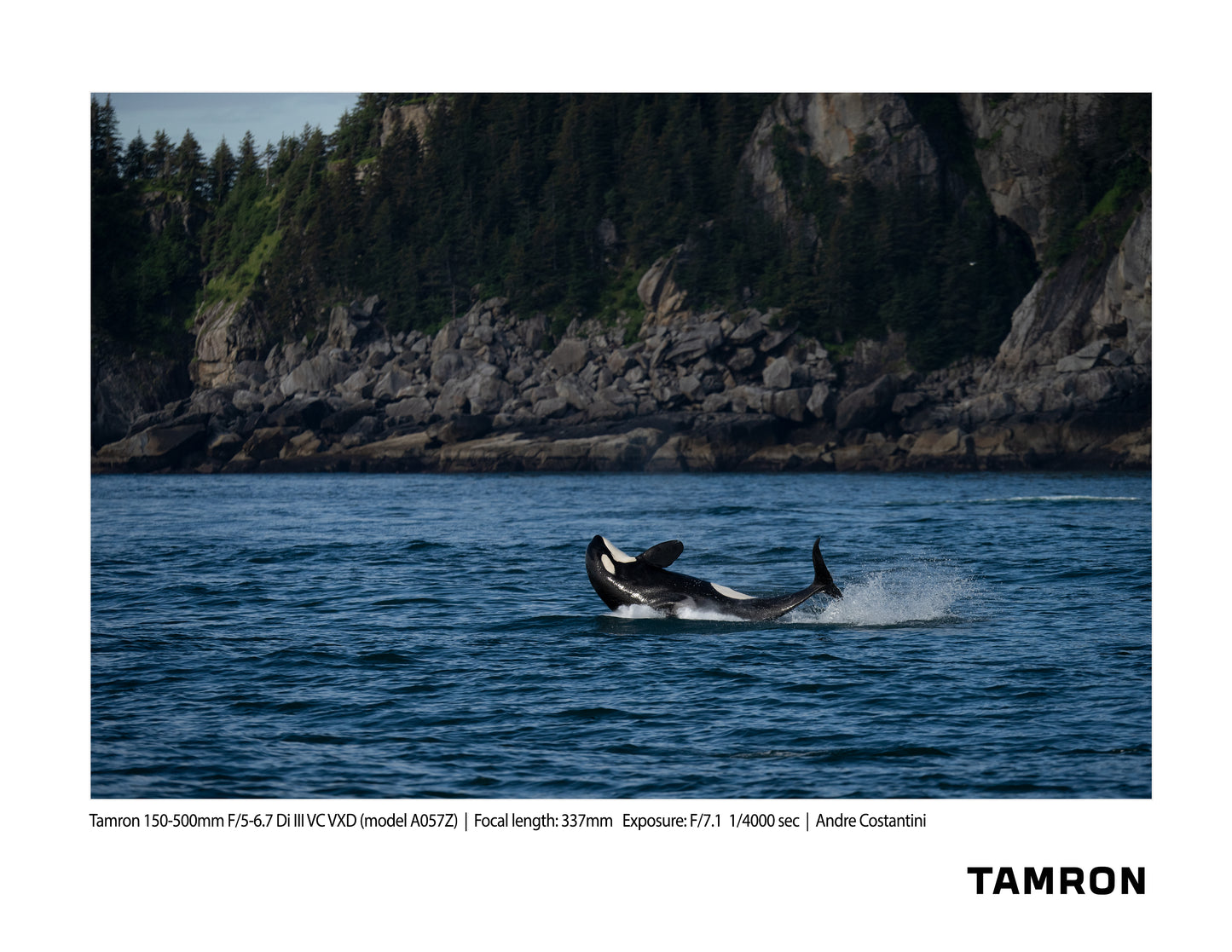 Tamron 150-500mm F/5-6.7 Di III VC VXD for Nikon Z Full-frame Mirrorless (model A057Z)