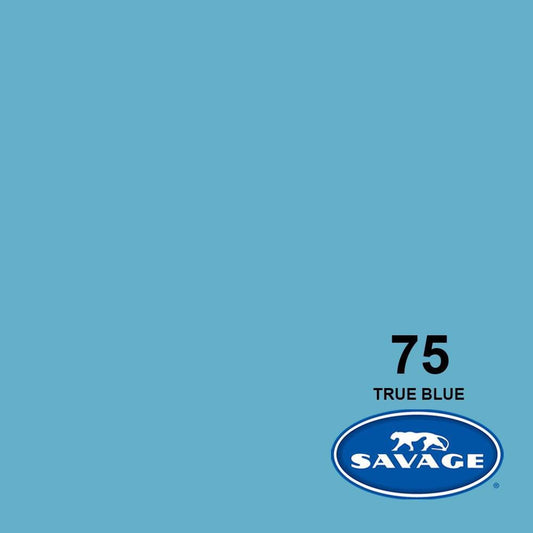 Savage TRUE BLUE 107" Background Paper
