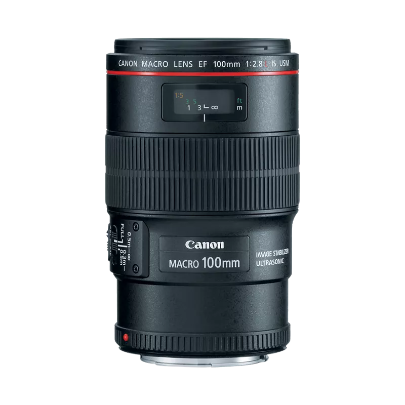 Canon EF 100mm f/2.8L Macro IS USM Lens