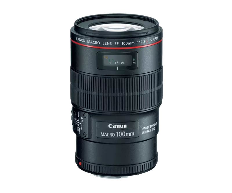 Canon EF 100mm f/2.8L Macro IS USM Lens