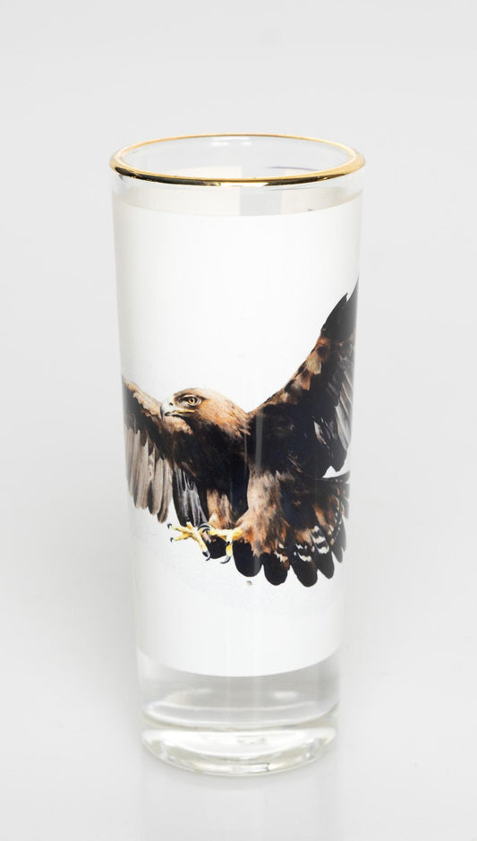 2oz Shot Glass with gold rim, Auburn University's Nova Eagle War Eagle Painting