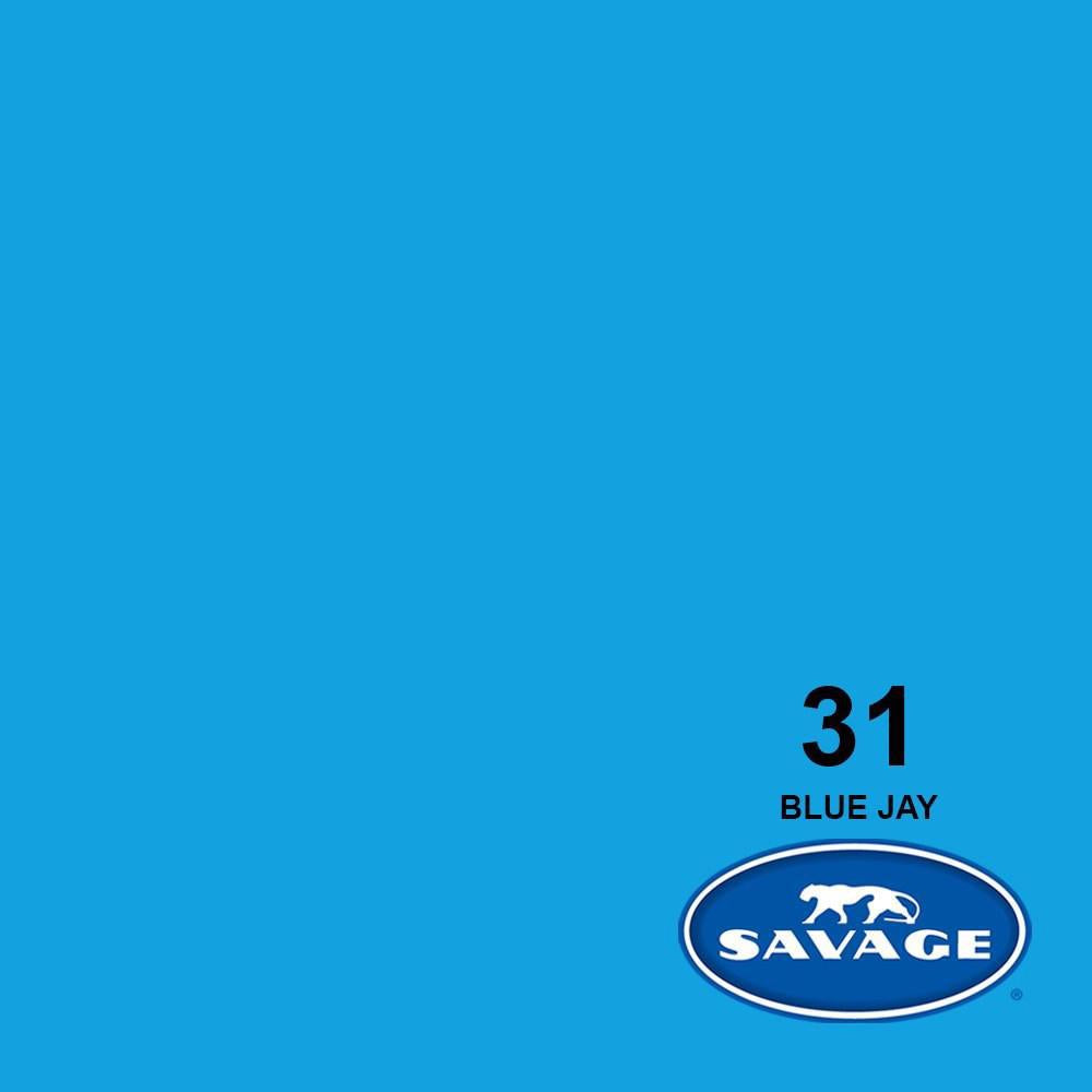 Savage BLUE JAY 53" Background Paper