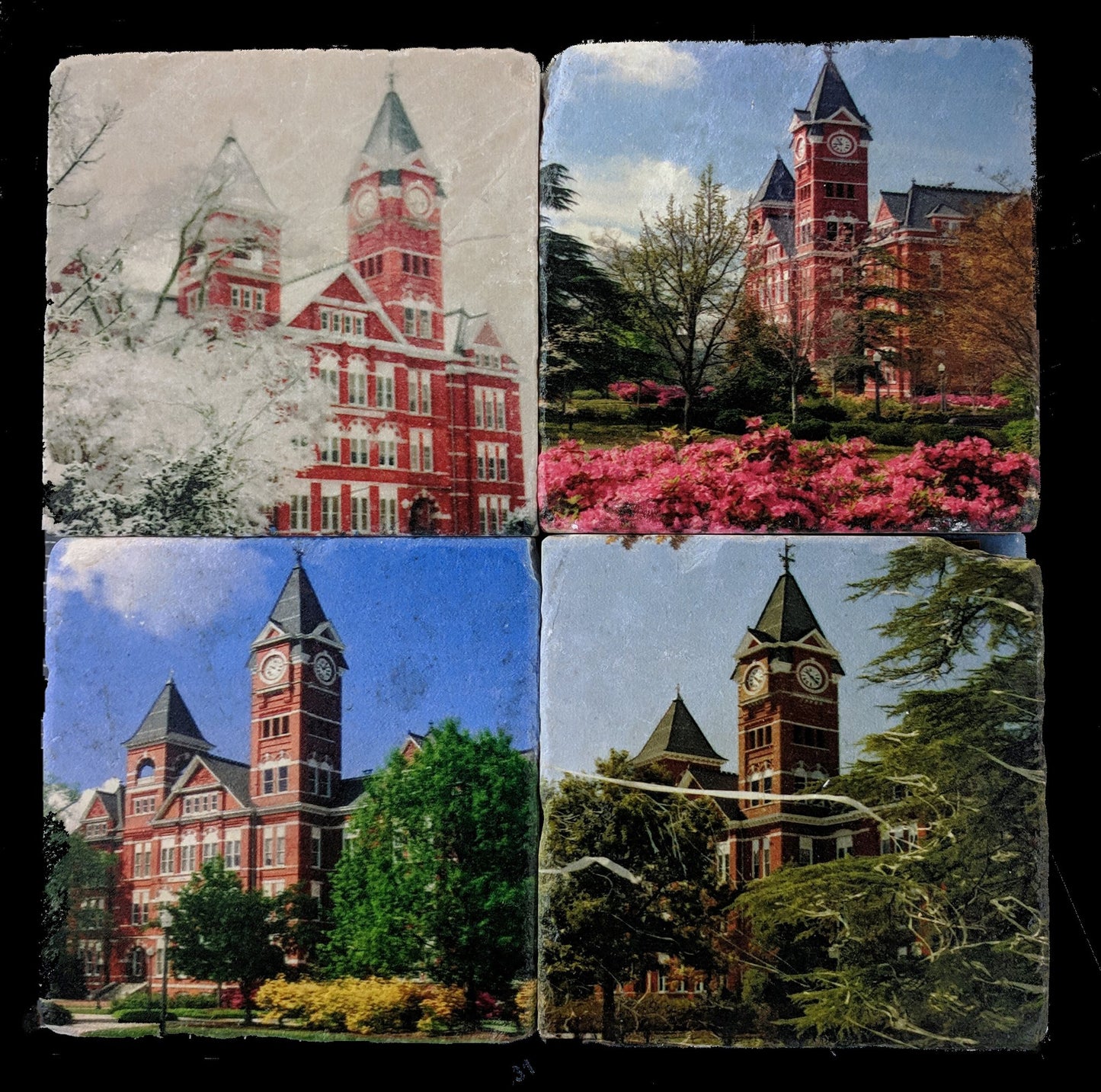 Seasons of Samford coaster set